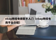 ebay跨境电商新手入门（ebay跨境电商平台介绍）