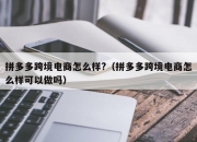 拼多多跨境电商怎么样?（拼多多跨境电商怎么样可以做吗）