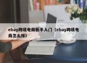 ebay跨境电商新手入门（ebay跨境电商怎么样）