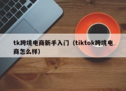 tk跨境电商新手入门（tiktok跨境电商怎么样）